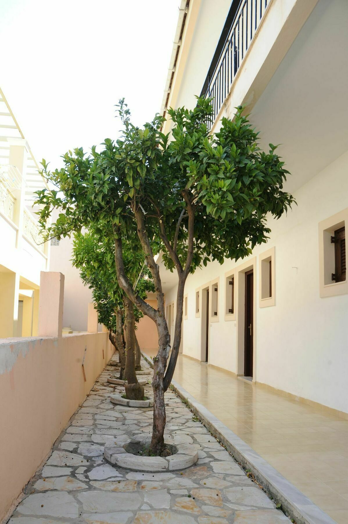 Three Seasons Apartment Kávos Exterior photo